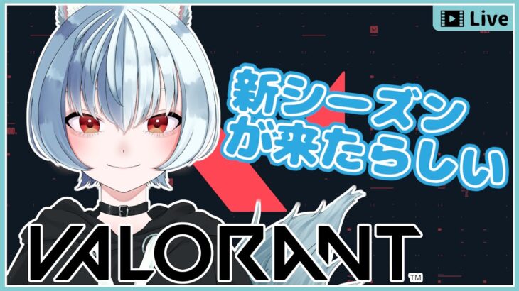 【 初心者 】初心者ヴァロラントいろいろキャラ使ってみたりするよ【 Valorant 】