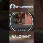 なんでその武器で撃っちゃったのお【Valorant/ヴァロラント】#Shorts