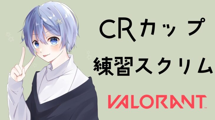 CRカップ練習スクリム vs VanilLaちーむ【VALORANT /白雪レイド ​ じゃすぱー yue 胡桃のあ vdk pepperコーチ】