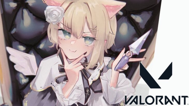 VALORANT│💎やればやるだけ強くなる！フルパ！！