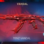 ALL RED 🚩 TenZ COLLECTION – VALORANT