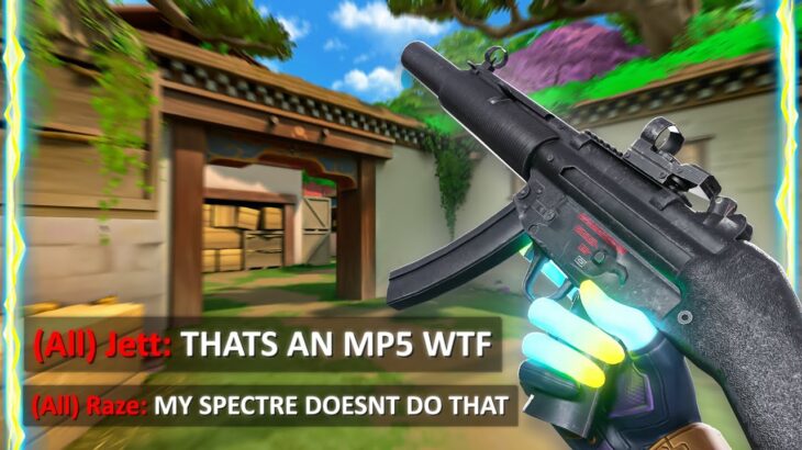 So I used an MP5 on Valorant