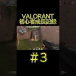 ヴァロラント初心者による成長記録＃3【VALORANT】