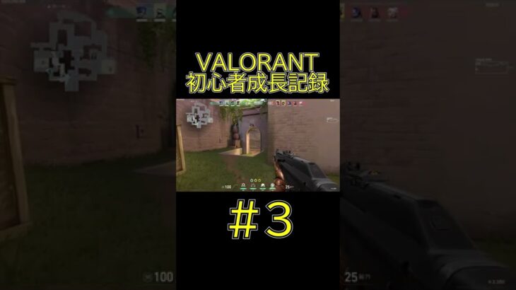 ヴァロラント初心者による成長記録＃3【VALORANT】