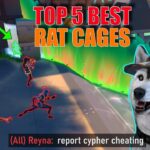Top 5 BEST Cypher Rat Cages in VALORANT