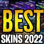 The Top 10 BEST Valorant Skins of 2022