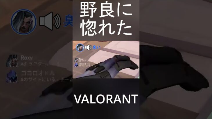 VALOの野良に惚れそうだった#shorts