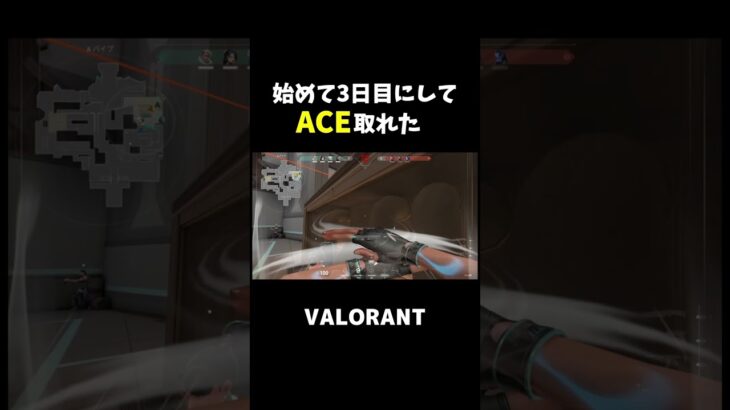 始めて3日目でACE取れた!!【VALORANT】【ヴァロラント】#shorts