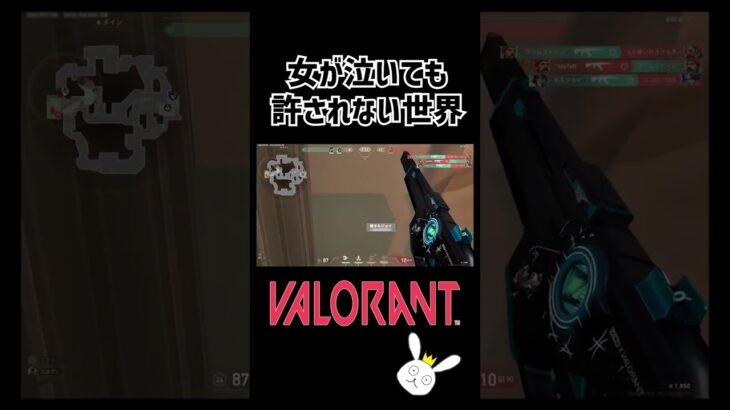 女が泣いても許されない世界【VALORANT】