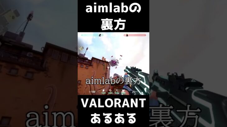 【VALORANTあるある】aimlabの裏方