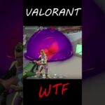 WTF#shorts #valorant #ヴァロラント