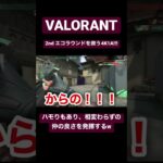 【VALORANT】2ndエコラウンドでクアドラキル!!! #valorant #valorantclips #valorantshorts #ヴァロラント #valorantclip