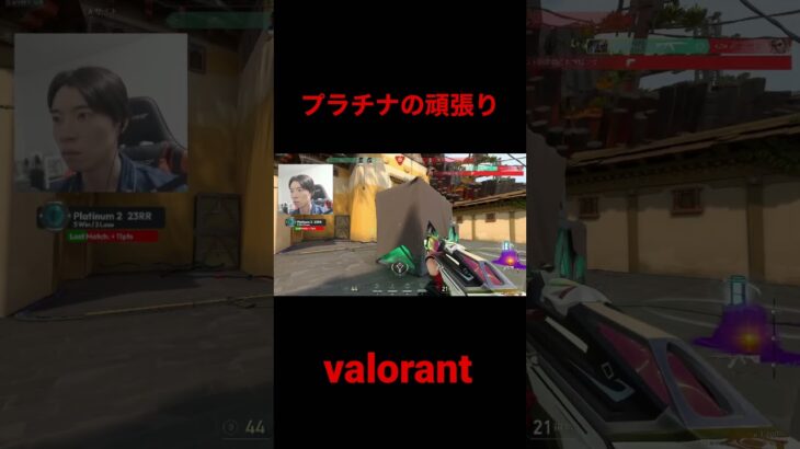 [valo] プラチナの頑張り　タイトルが思いつかなくなってきました #ヴァロラント #valorantclip #valoranthighlights #valorant