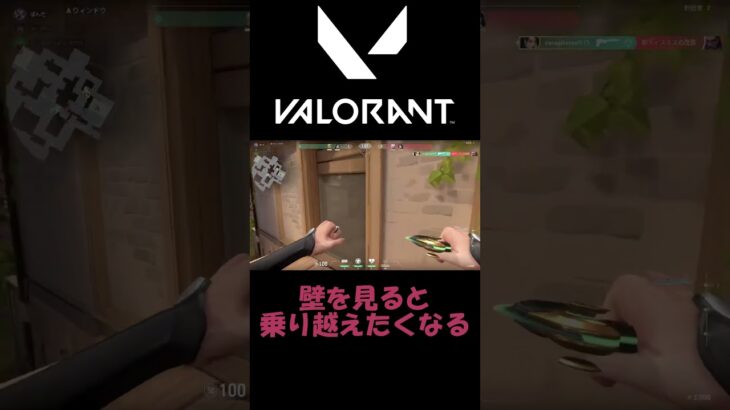 【VALORANT/ヴァロラント】セージの壁を見ると乗り越えたくなる#shorts