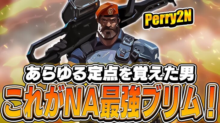 NAレディ帯最強のブリム専！その名もPerry2N！【VALORANT】【日本語翻訳】