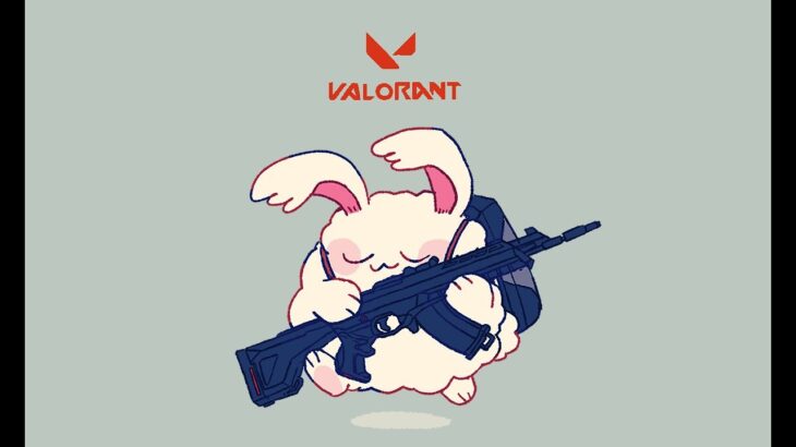 VALORANT（ヴァロラント） めーやくん →フルコンさん
