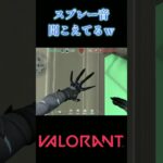 【ヴァロラント】戦いの最中にスプレーしてはいけませんｗ【VALORANT】