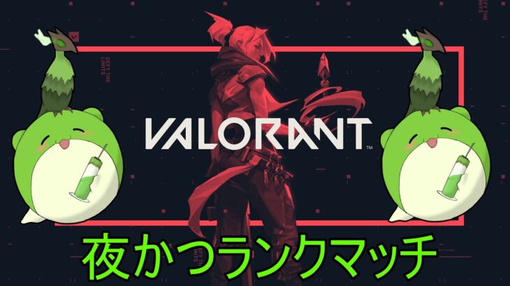 【VALORANT】アセンダント目指す男#20【ヴァロラント】