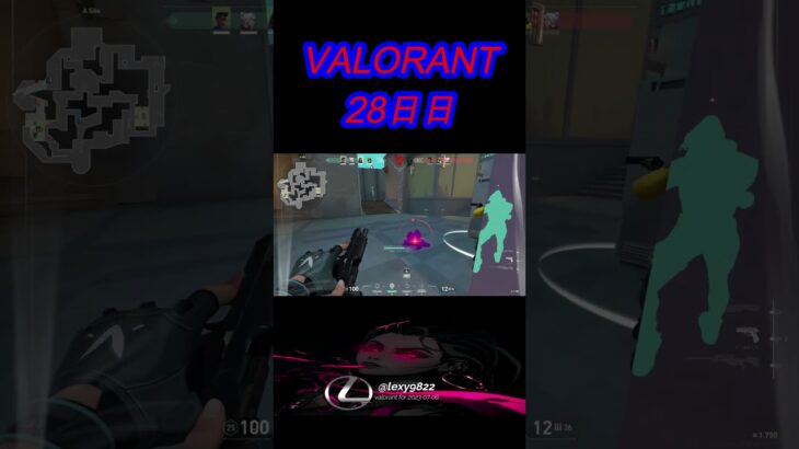 【VALORANT】スキンによって映え方が変わる説#shorts#valorant#ヴァロラント