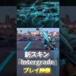 新スキン『Intergrade』プレイ映像【VALO】