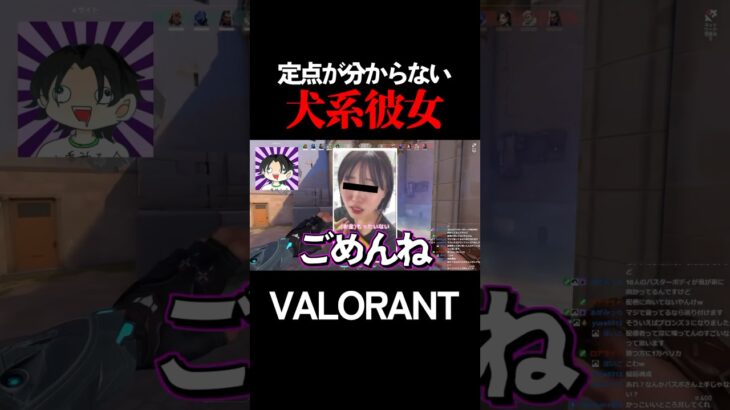 犬系彼女とVALORANTしよう #バスターボディ #バスターボディ #valorant  #ヴァロラント