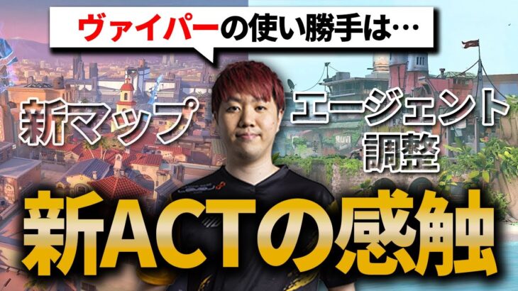 【VALORANT】新ACT開幕！新マップサンセットやブリーズでヴァイパーは活躍できる？各エージェントの調整後の感想【BlackWiz 切り抜き】