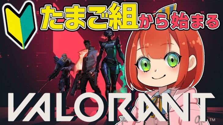 【VALORANT】まずは基本を覚えます　#valorant  #ヴァロラント ＃FPS初心者