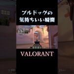 #shorts ブルドッグの気持ちいい瞬間ｗ【VALORANT】 #valorant#ヴァロラント#ブルドッグ