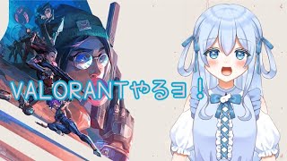 【VALORANT】アイアンとブロンズの反復横跳び