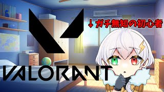 【VALORANT】右も左も分からぬヴァロラント[初見さん歓迎][綾桜]