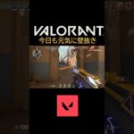 【今日も元気に壁抜き】【VALORANT/ヴァロラント】 #Shorts