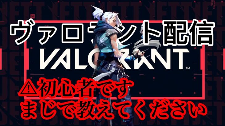 【VALORANT】ヴァロラント33日目！【静か編】 #ヴァロラント