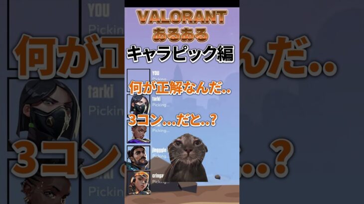 【VALORANT】Valorantあるある4 #valorant #ヴァロラント #猫ミーム