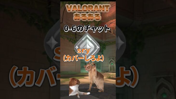 【VALORANT】Valorantあるある5 #valorant #ヴァロラント #猫ミーム