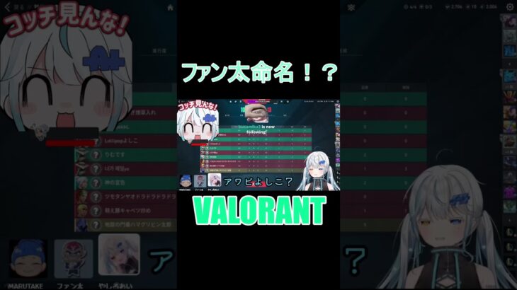 【VALORANT】ファン太命名！？【個人勢Vtuber切り抜き】#shorts #やしろあい #ファン太