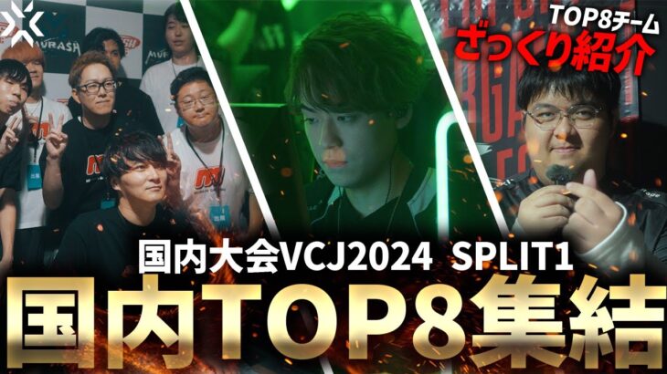 【VCJ2024】国内TOP8集結!!Main STAGE進出チームざっくり紹介【VALORANT】【配信切り抜き】