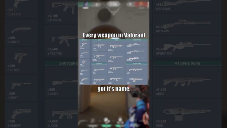 How every WEAPON in Valorant Got its Name. #valorant #valorantgaming #gaming #shorts