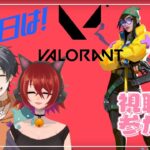 【VALORANT】水曜日のヴァロラント #参加型 Ryugitas × けんけん