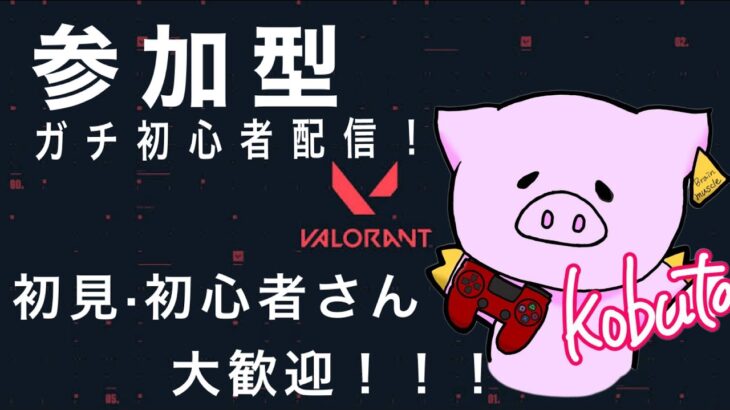 VALORANT ガチ初心者配信！　参加型コンペorスイフト！参加人数多ければカスタム！【初心者につき行動注意ｗ】※参加概要確認してください