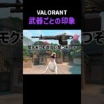 【VALORANT】武器の印象 #valorant #ヴァロラント #猫ミーム