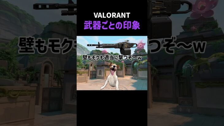 【VALORANT】武器の印象 #valorant #ヴァロラント #猫ミーム