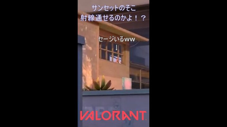 サンセットのそこ射線通せるのかよ！？【VALORANT】#VALORANT #ヴァロラント #shorts