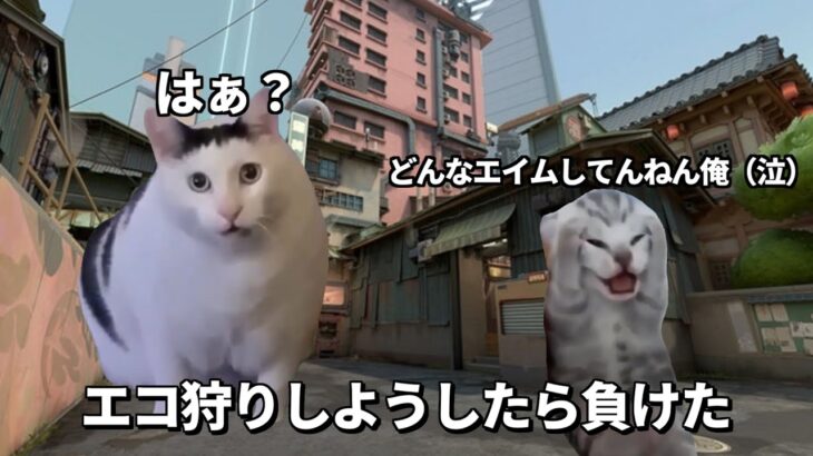 闇のヴァロラントになるまで【猫ミーム】