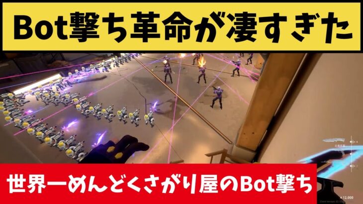 衝撃的なBot撃ち革命！世界一めんどくさがり屋のBot撃ちがカオス過ぎたｗｗ【VALORANT】【クリップ集】