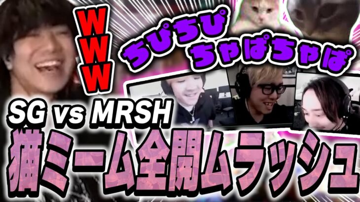 【猫ミーム】ムラッシュの雰囲気の盛り上がりが最高に面白すぎたwww【SG vs MRSH】【VALORANT CHALLENGERS JAPAN 2024】【VCJ2024】