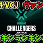 [VALORANT]  VALORANT Challengers Japan 2024  ヴァンダルスキンランキング [ヴァロラント]