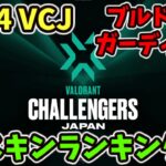 [VALORANT]  VALORANT Challengers Japan 2024  ブルドッグ ガーディアンスキンランキング [ヴァロラント]