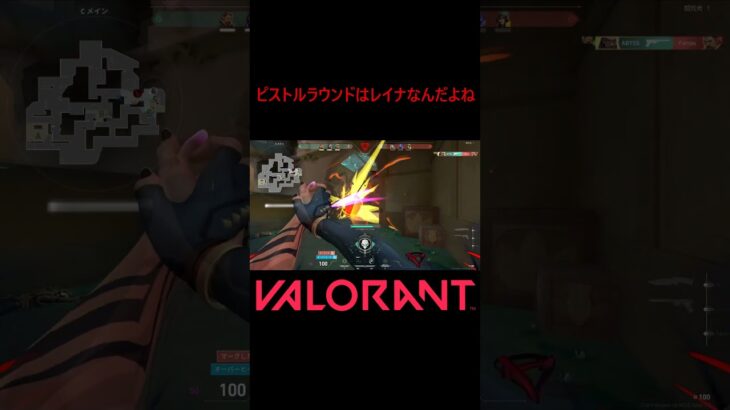 【VALORANT】ピストルラウンドはレイナなんだよね #shorts #valorant #valorantclips #valorantクリップ #valorantキル集 #ヴァロラント