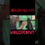 【VALORANT】暴れまわるレイナ! #shorts #valorant #valorantclips #valorantクリップ #valorantキル集 #ヴァロラント