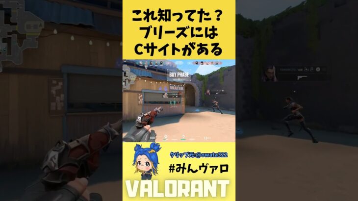 これ知ってた？ブリーズにはＣサイトがある事実！ #shorts #valorant #valorantclips #キル集